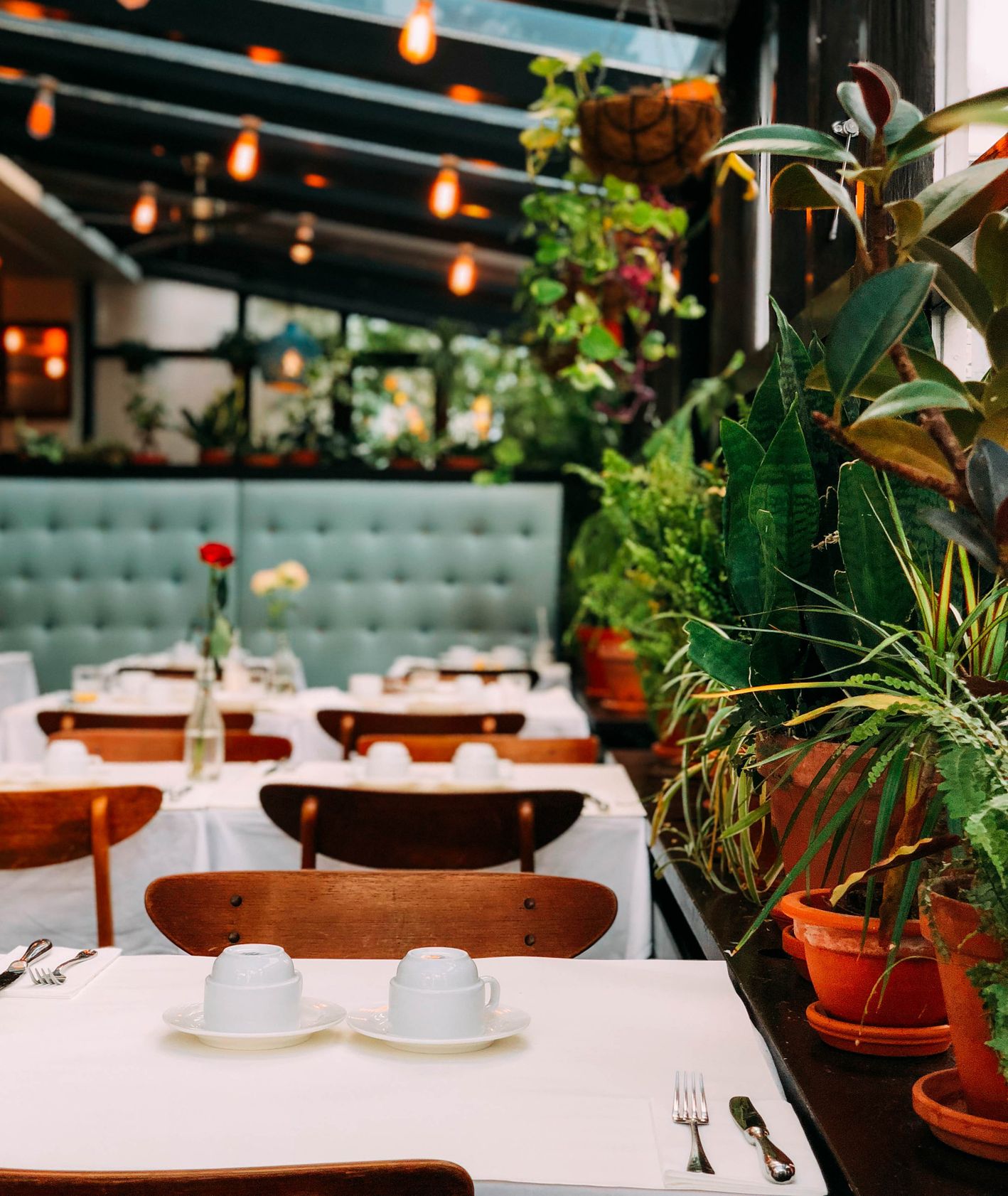 Wnętrze restauracji – drewniane stoły, biały obrus, zastawa stołowa, rośliny na parapecie (fot. Chris Liverani)