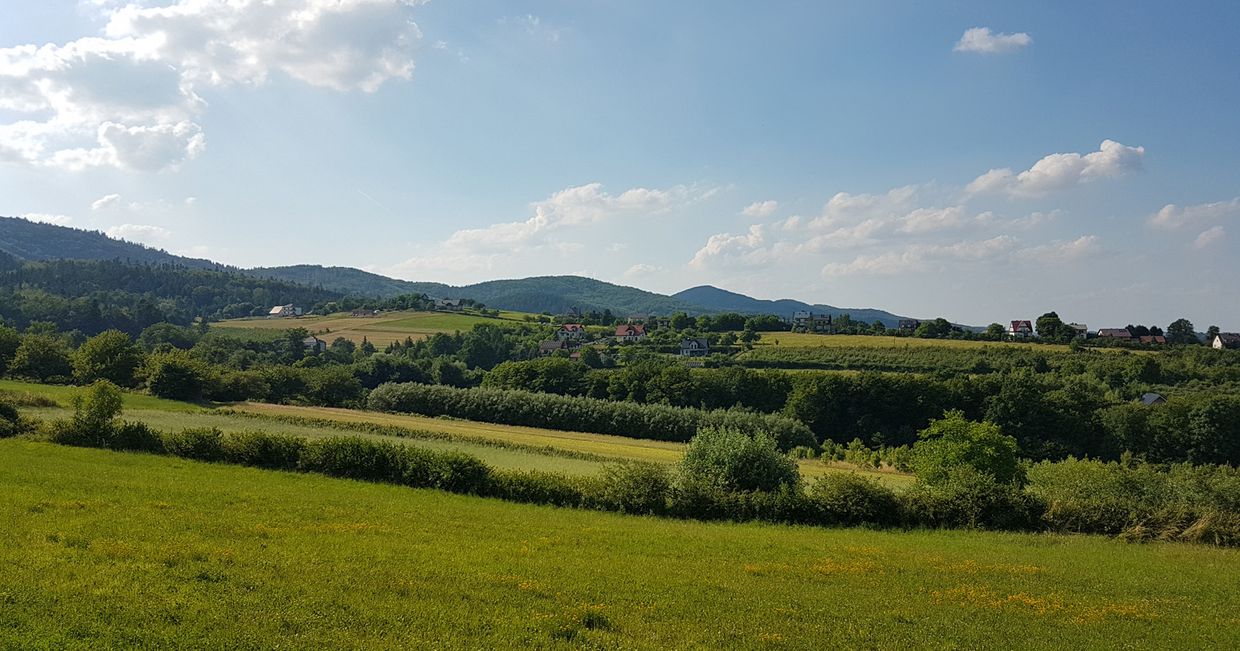 Beskid Wyspowy na weekend, trasy spacerowe w Beskidzie Wyspowym, atrakcje Małopolski (fot. Aleksander Szojer)