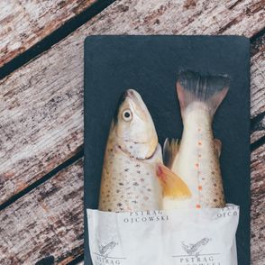 pstrąg ojcowski, dwie surowe ryby na desce