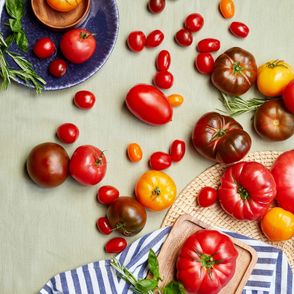 Pomidory – najlepsze sezonowe przepisy (fot. Maciej Niemojewski)