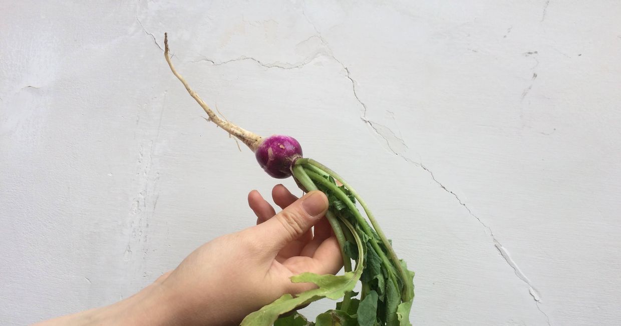 Rzodkiewki prost z grządki (fot. Julia Morawska)