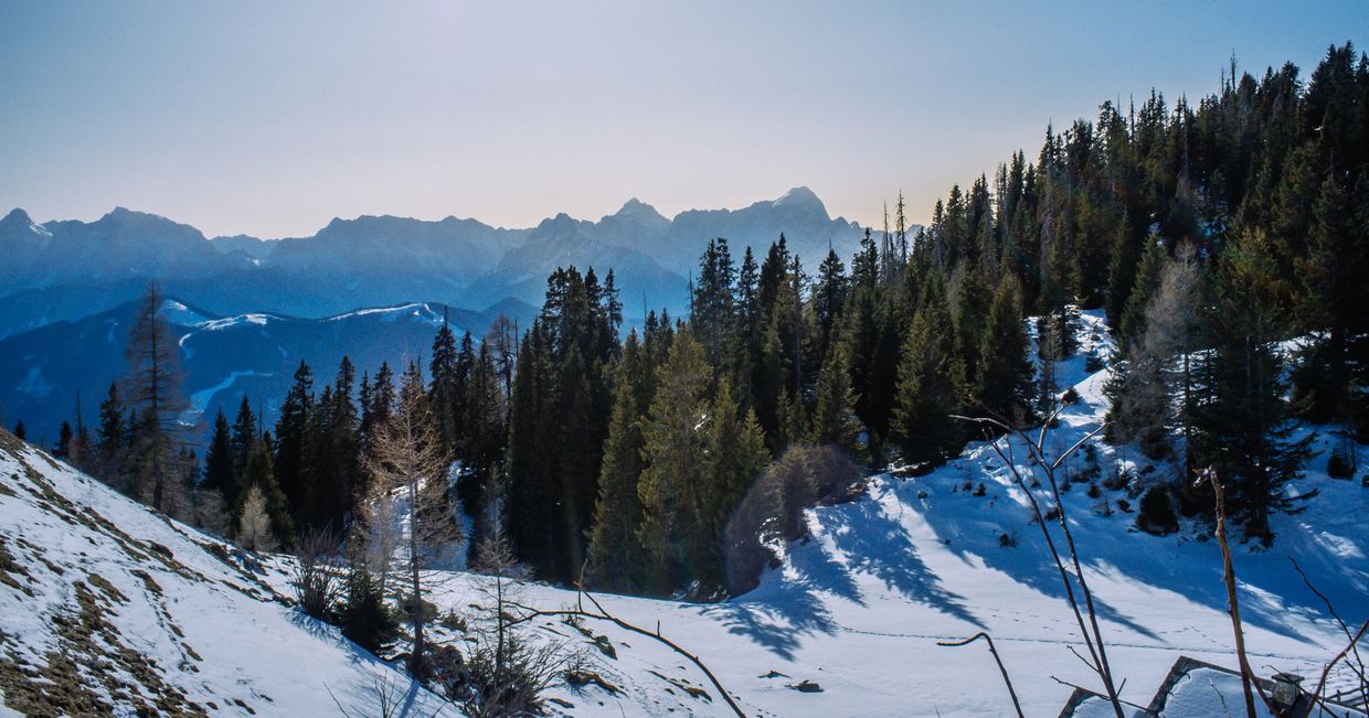 Dobratsch Nature Park - Rezerwat Przyrody w Karyntii, region Villach (fot. Zuza Rożek)