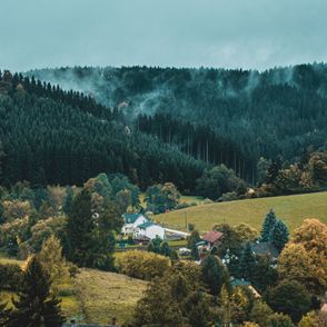 Wioska w Czechach, dookoła las, mgła (fot. Michael Mraz / unsplash.com)