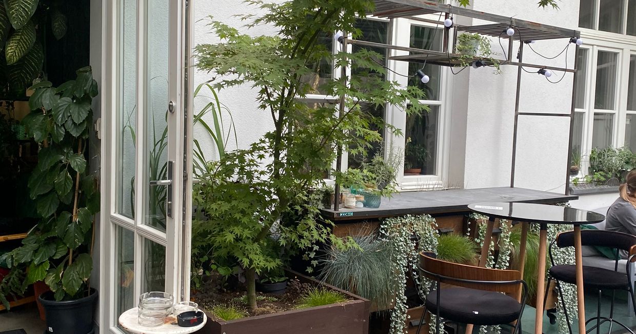 Zwiedzamy Kraków z Ciao Basią – Busz (fot. Ciao Basia)