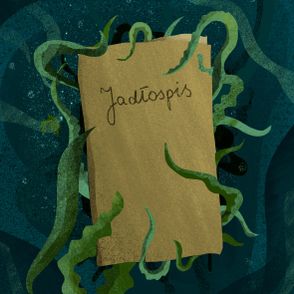 Algi – jeść czy nie? (il. Urszula Mierzwa)