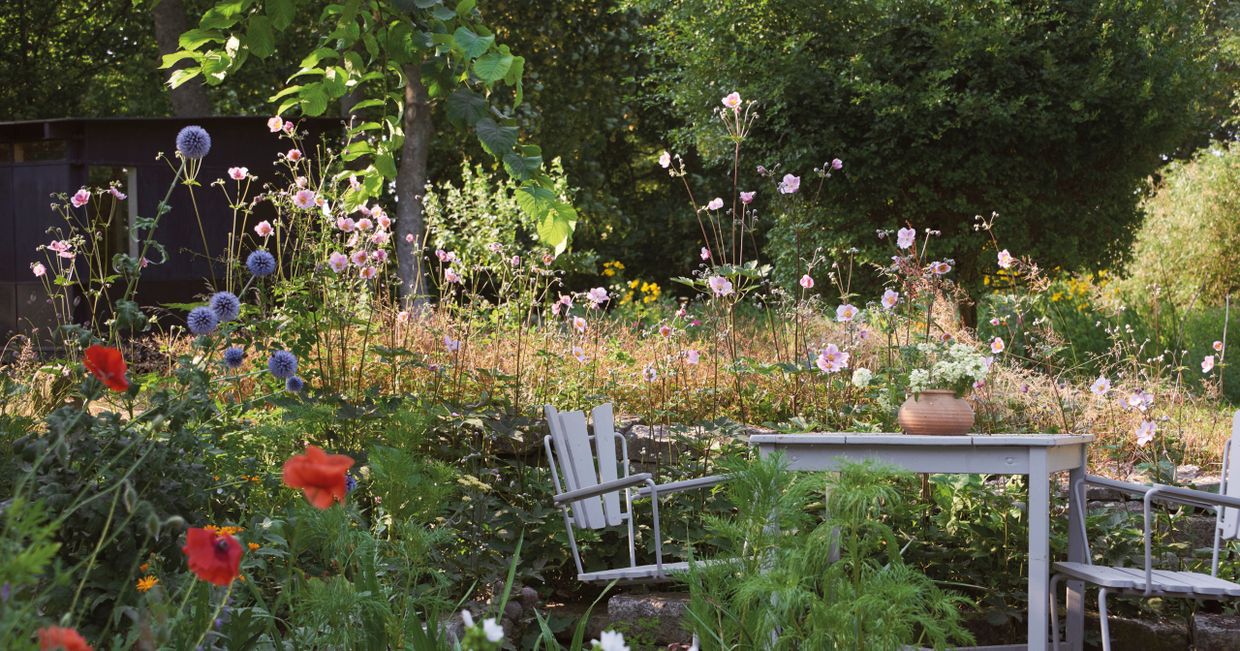 Kwietna łąka - zdjęcie z książki "Ogród na cztery pory roku" Sebastiana Kulisa