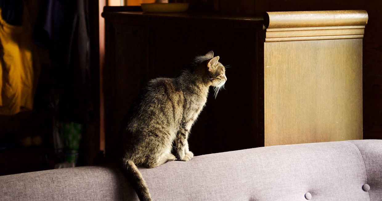 Miejsca na wypad pod Warszawę jesienią - Dom nad Wierzbami (fot. Zuza Rożek)