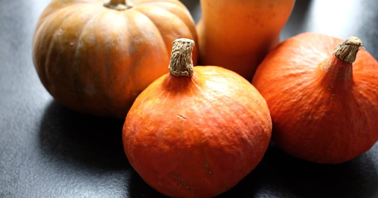 Dynie hokkaido, piżmowe i prowansalskie