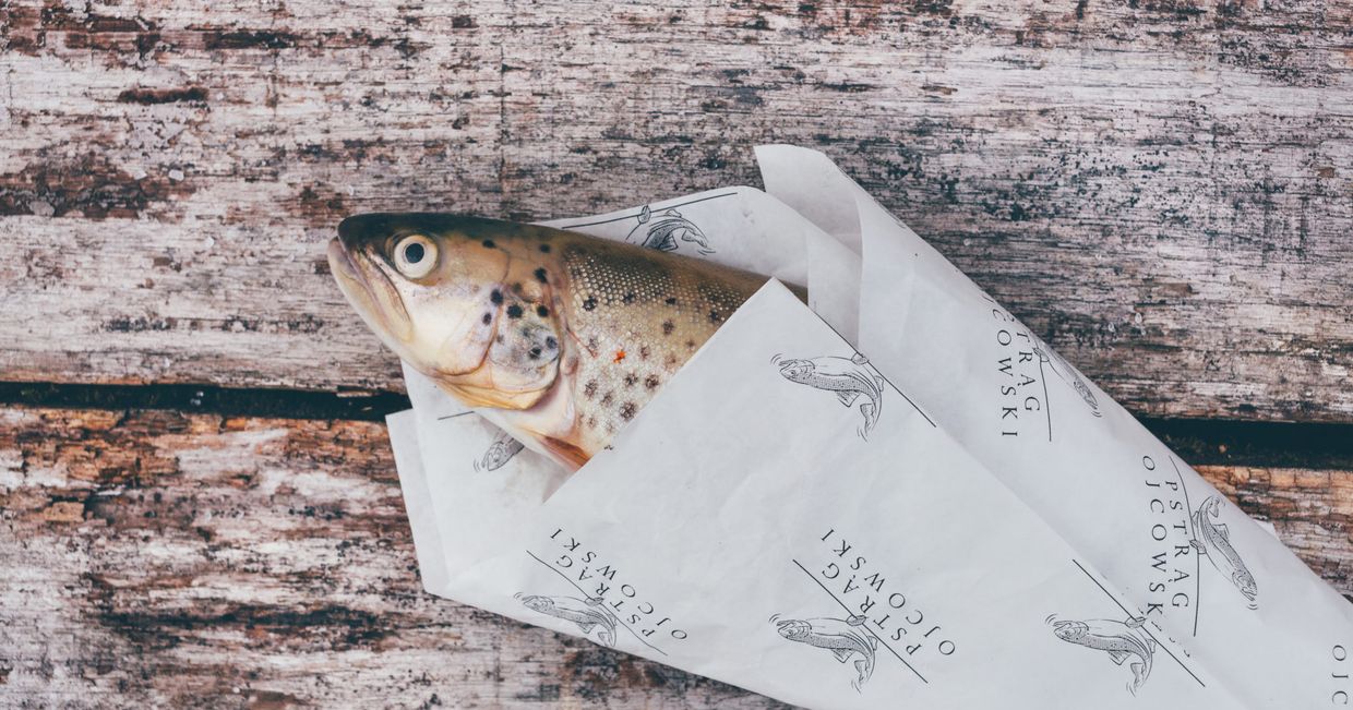 pstrąg w papierze z logo pstrąga ojcowskiego