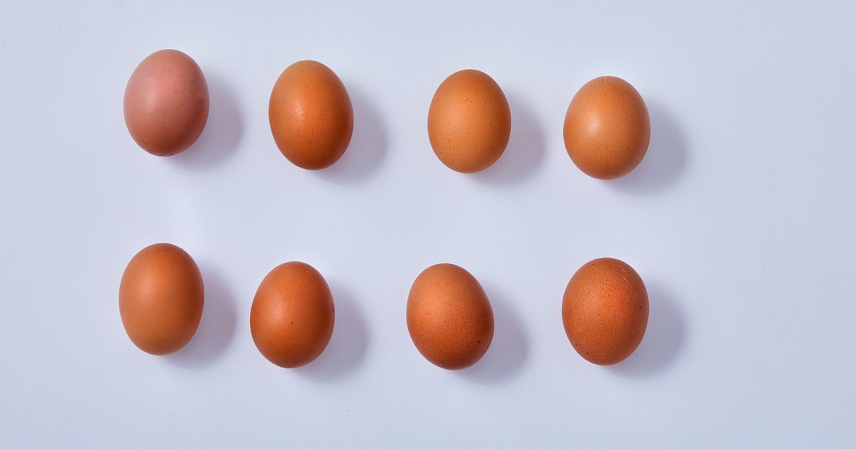 8 jajek na białym tle (fot. Maciek Niemojewski)