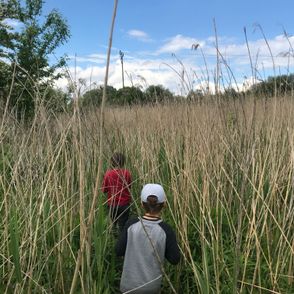 Gdzie pod Warszawę na wycieczkę (fot. Jan Mencwel)