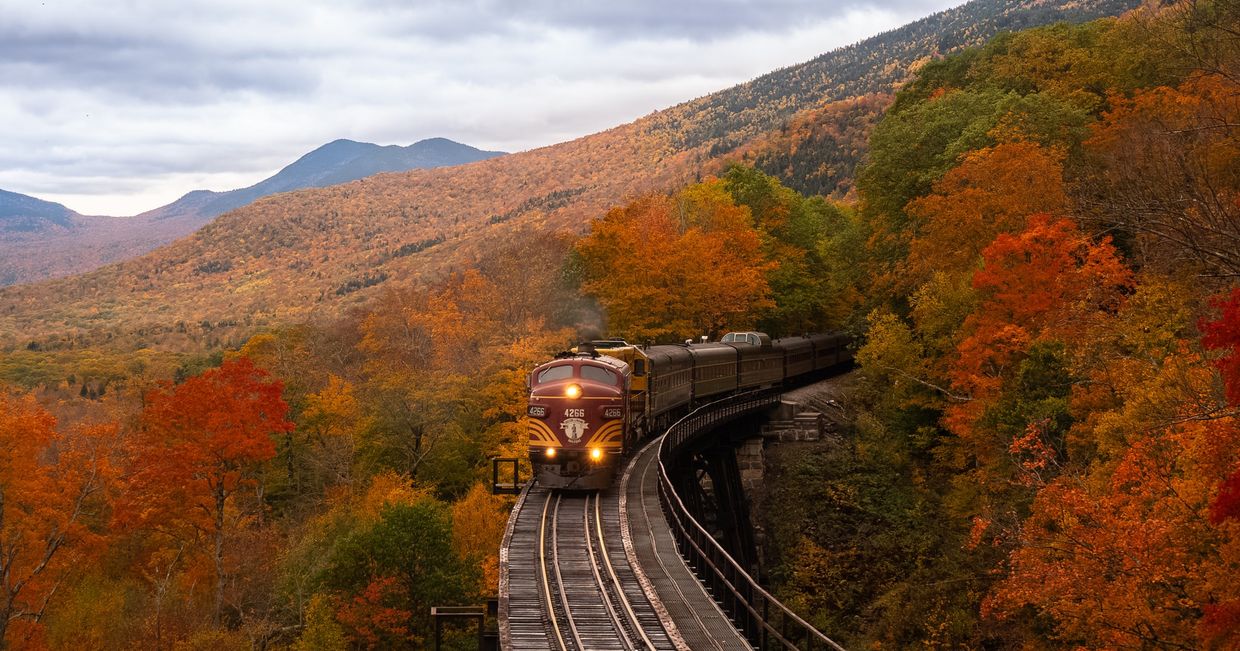 Pociąg jadący przez las, jesień (fot. Balazs Busznyak / unsplash.com)