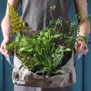 Mężczyzna stojący z torbą z roślinami (fot. Kwiaty & Miut)