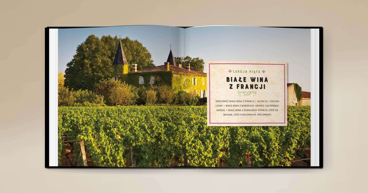 Okładka książki „Kursie wiedzy o winie” Kevina Zraly'ego