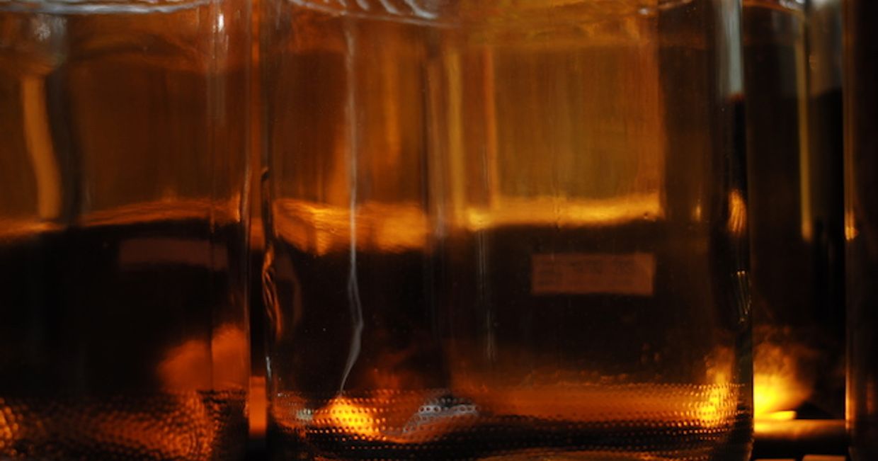 Ciemna nalewka / Zbigniew Sierszuła