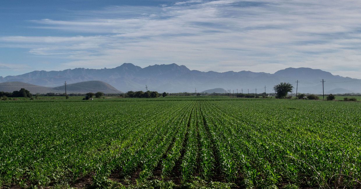 W drodze do Kanady przez obie Ameryki