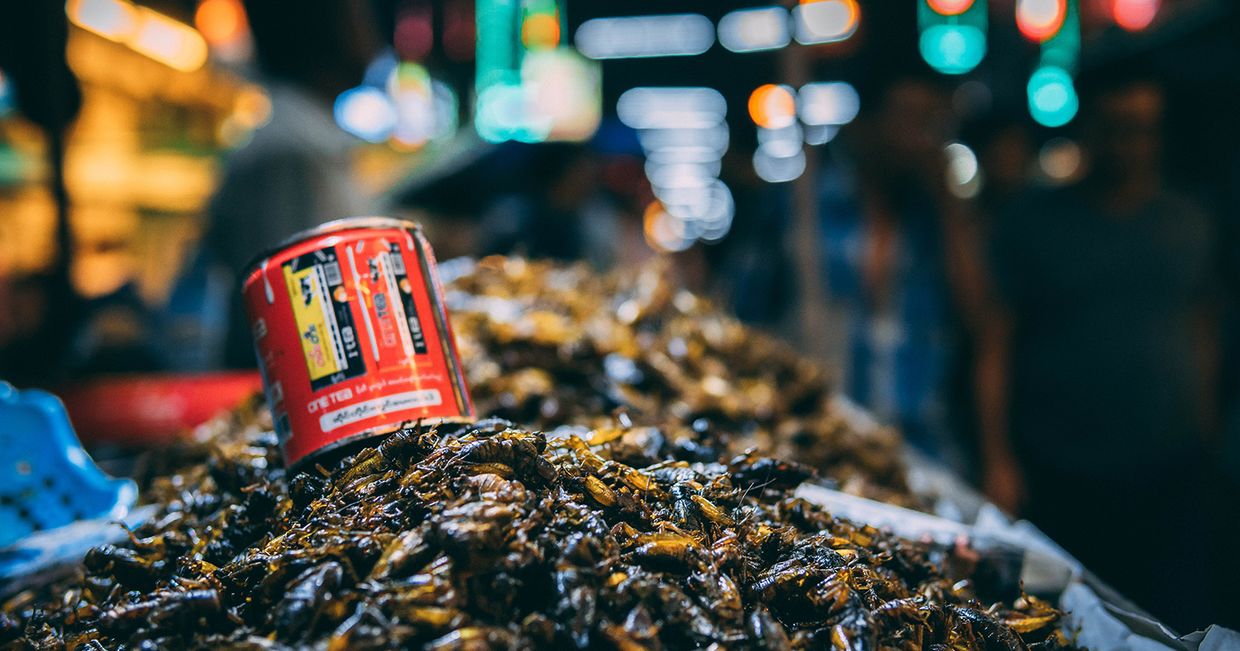 Novel Food. Owady do zjedzenia sprzedawane na azjatyckim street food markecie. (fot. Harish Shivaraman / unsplash.com)