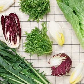 Najlepsze przepisy na dania z cykorii