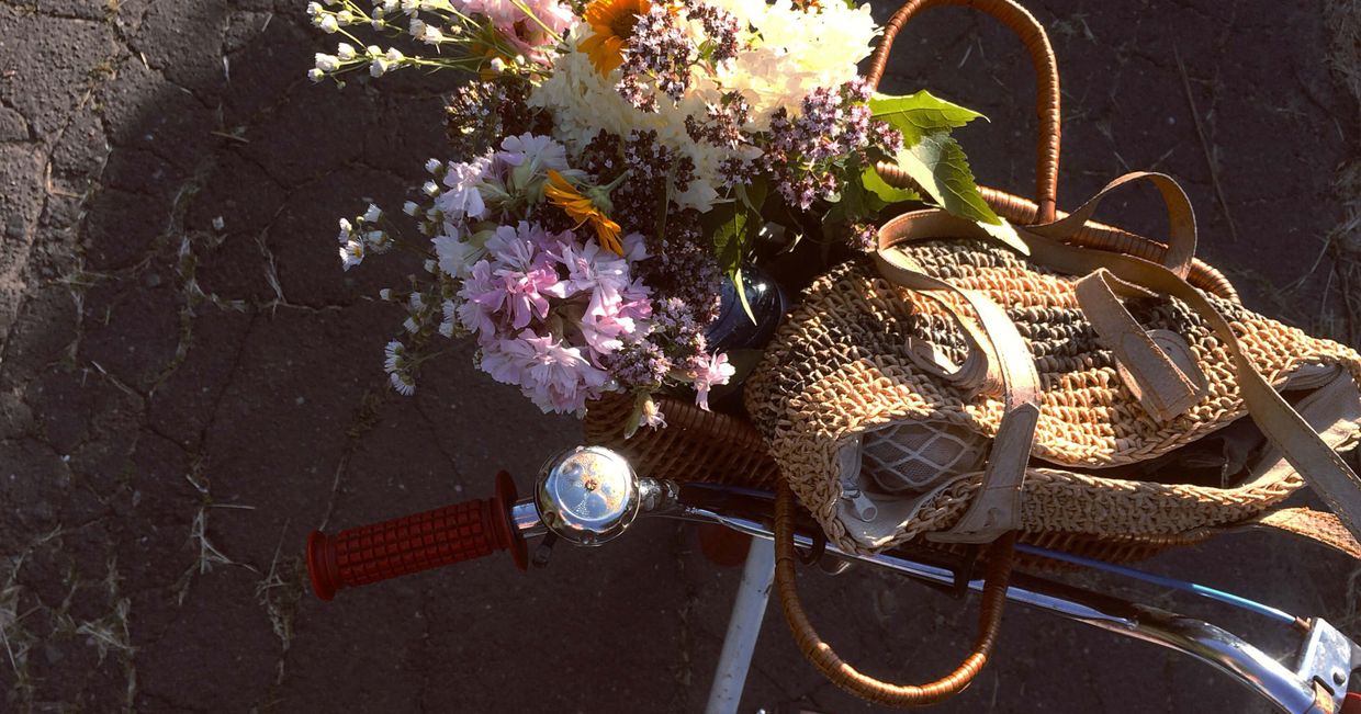 Dlaczego wraca moda na działki (fot. Julia Morawska)