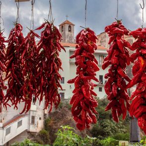 Włoskie festiwale kulinarne
