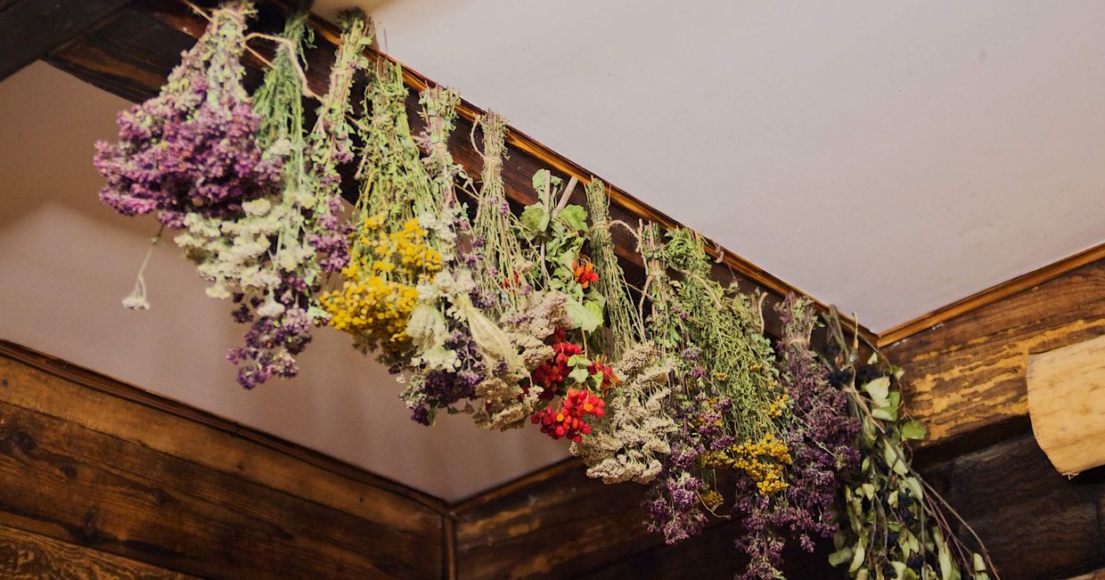 Część skansenu - dary natury (fot. Zuza Rozek)