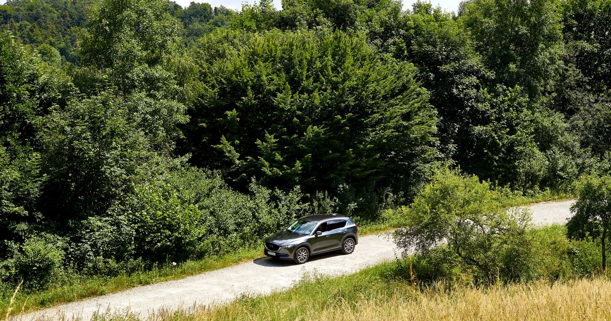 Wycieczka do Zalipia. Podróże samochodem po urokliwych polskich wsiach. (fot. Maciej Niemojewski)