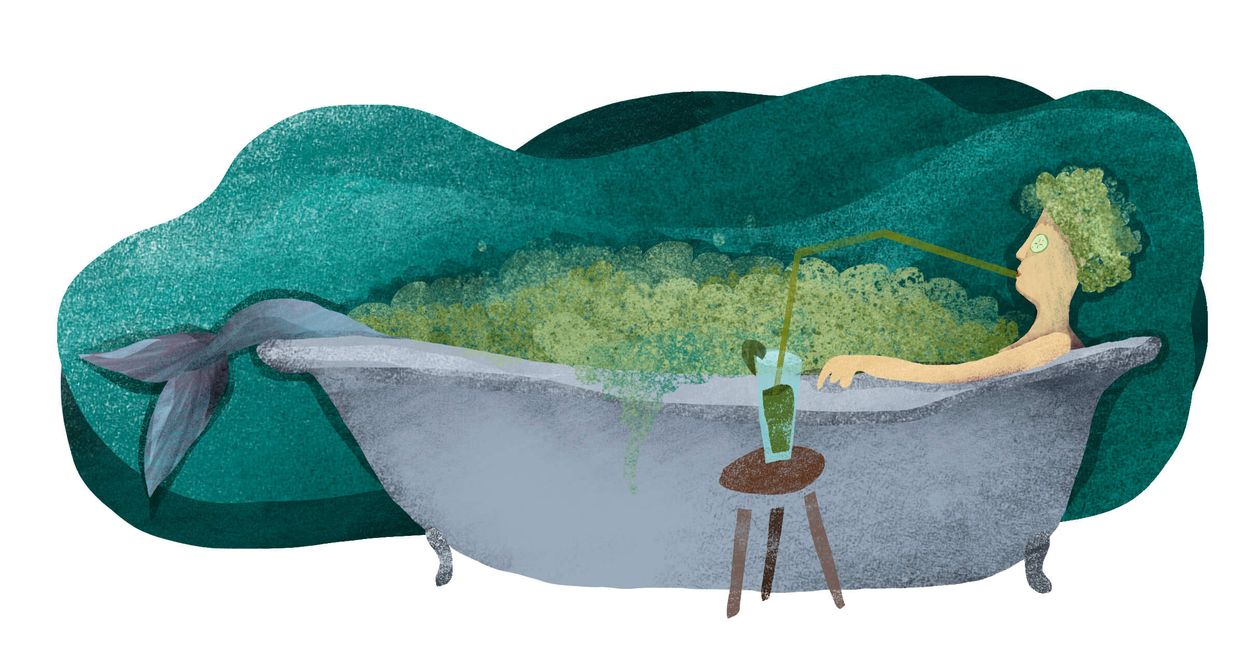 Algi – do czego ich używać? (il. Urszula Mierzwa)