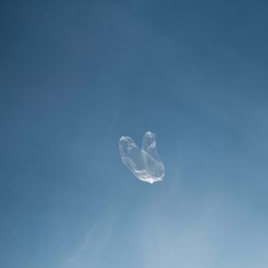 Plastikowa torba fruwająca na wietrze (fot.Paul Bence)