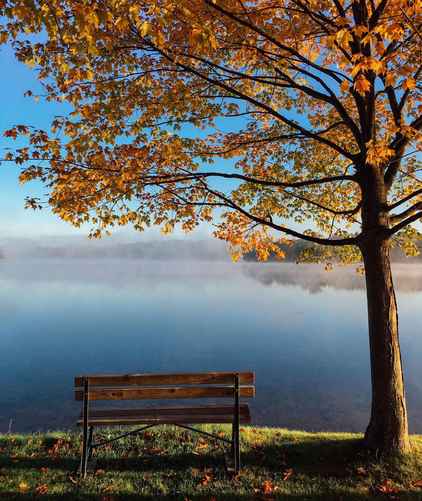 Jesienny pejzaż: drzewo, jezioro i ławka (fot. Aaron Burden / unsplash.com)