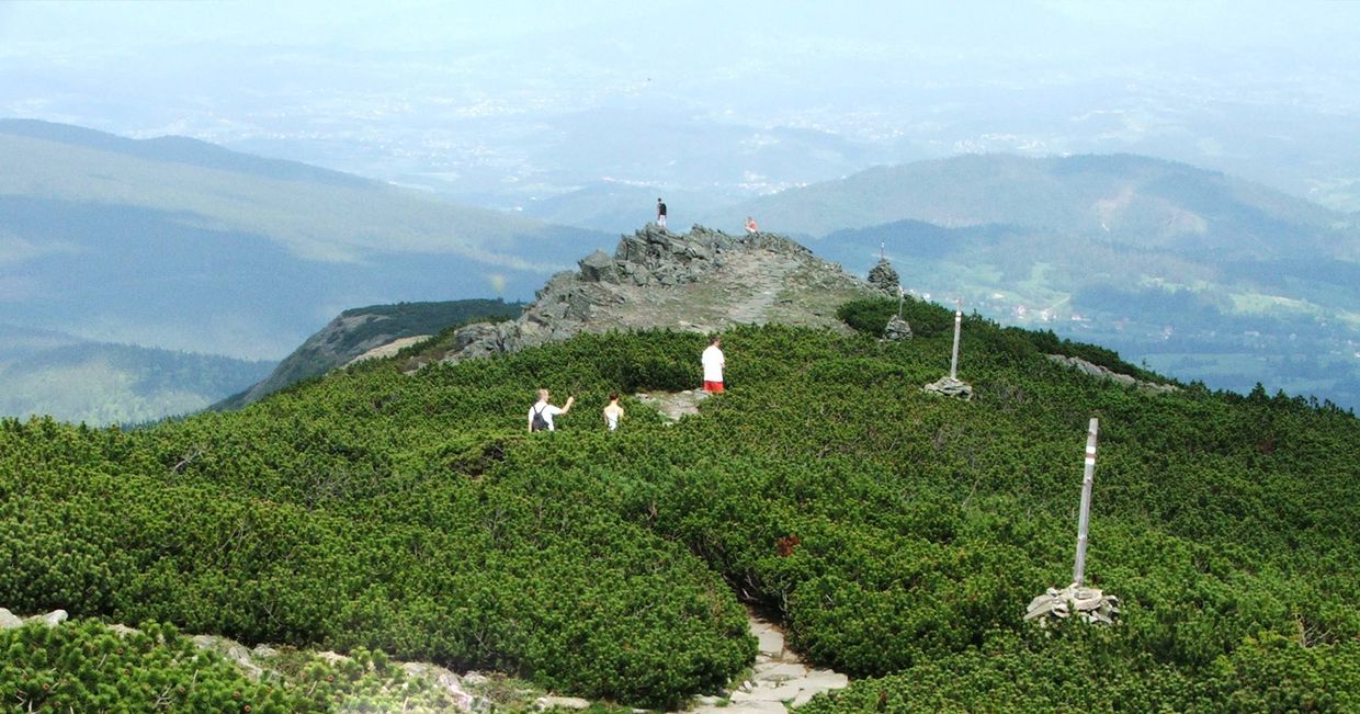 Szczyt w Babiogórskim Parku Narodowym (fot. Jerzy Opioła / Wikipedia)