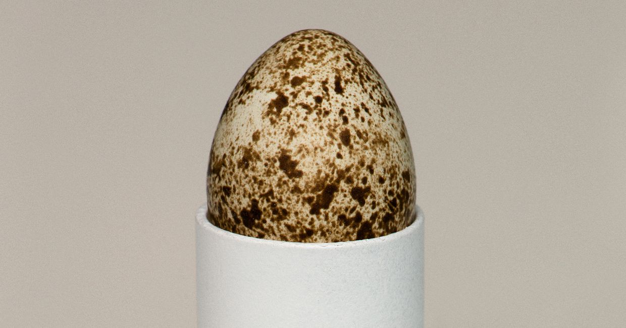 Jajko przepiórki (fot. Kasia Bielska, Dominik Tarabański)