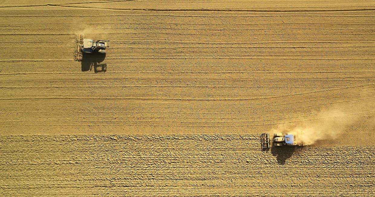 Kombajny koszą zboża – żniwa latem (fot. Johny Goerend / unsplash.com)