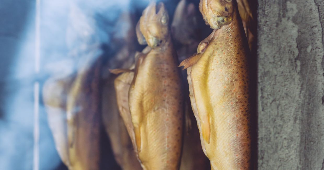 pstrągi w wędzarni