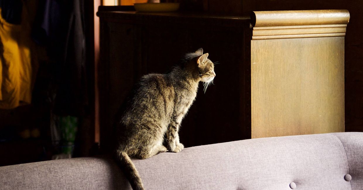 Miejsca na wypad pod Warszawę jesienią - Dom nad Wierzbami (fot. Zuza Rożek)