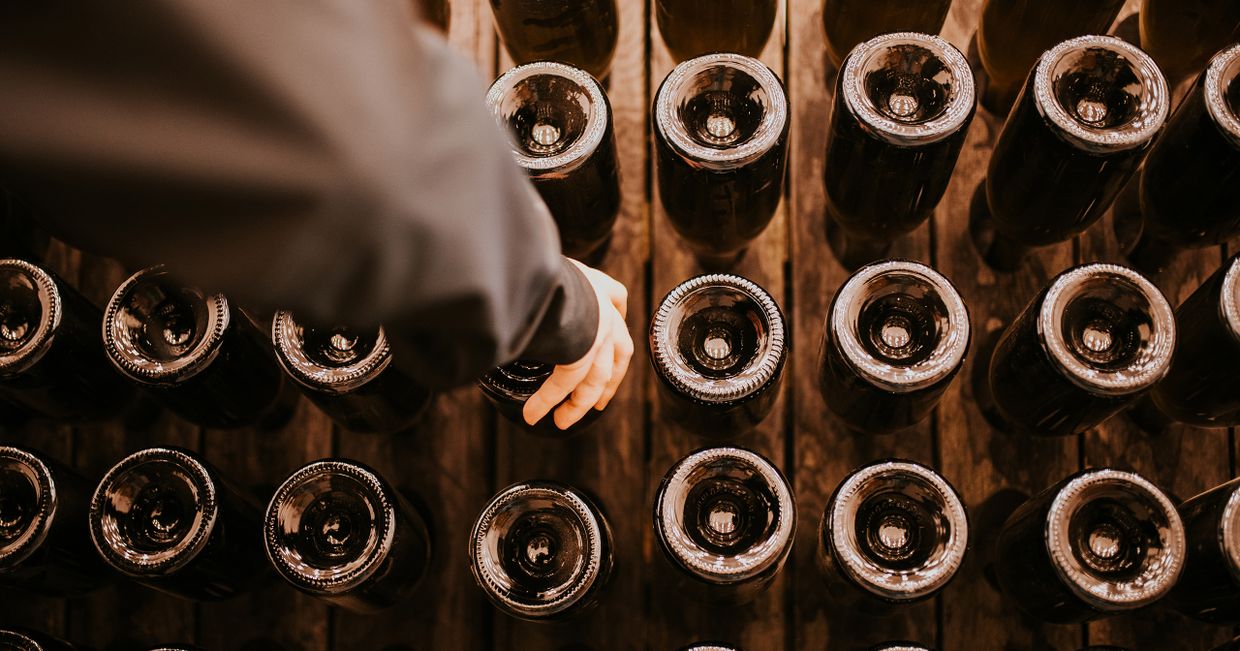 Przewodnik po polskich winnicach (fot. Winnica Turnau)