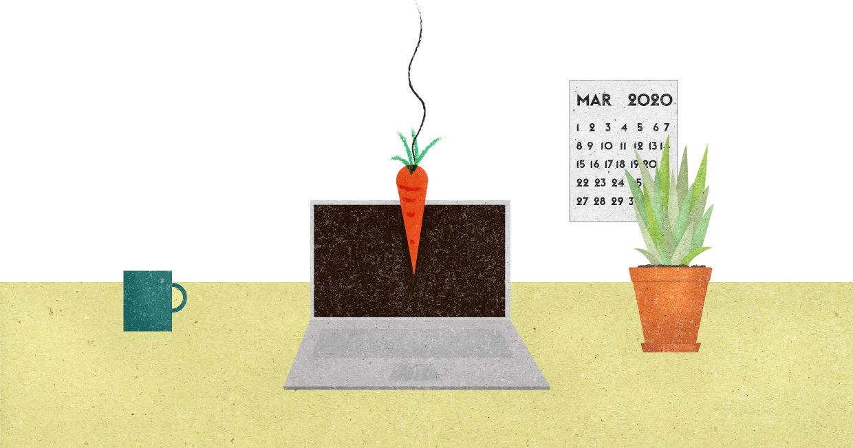 Komputer stojący na blacie, przed nim zawieszona marchewka (il. Marcin Lewandowski)