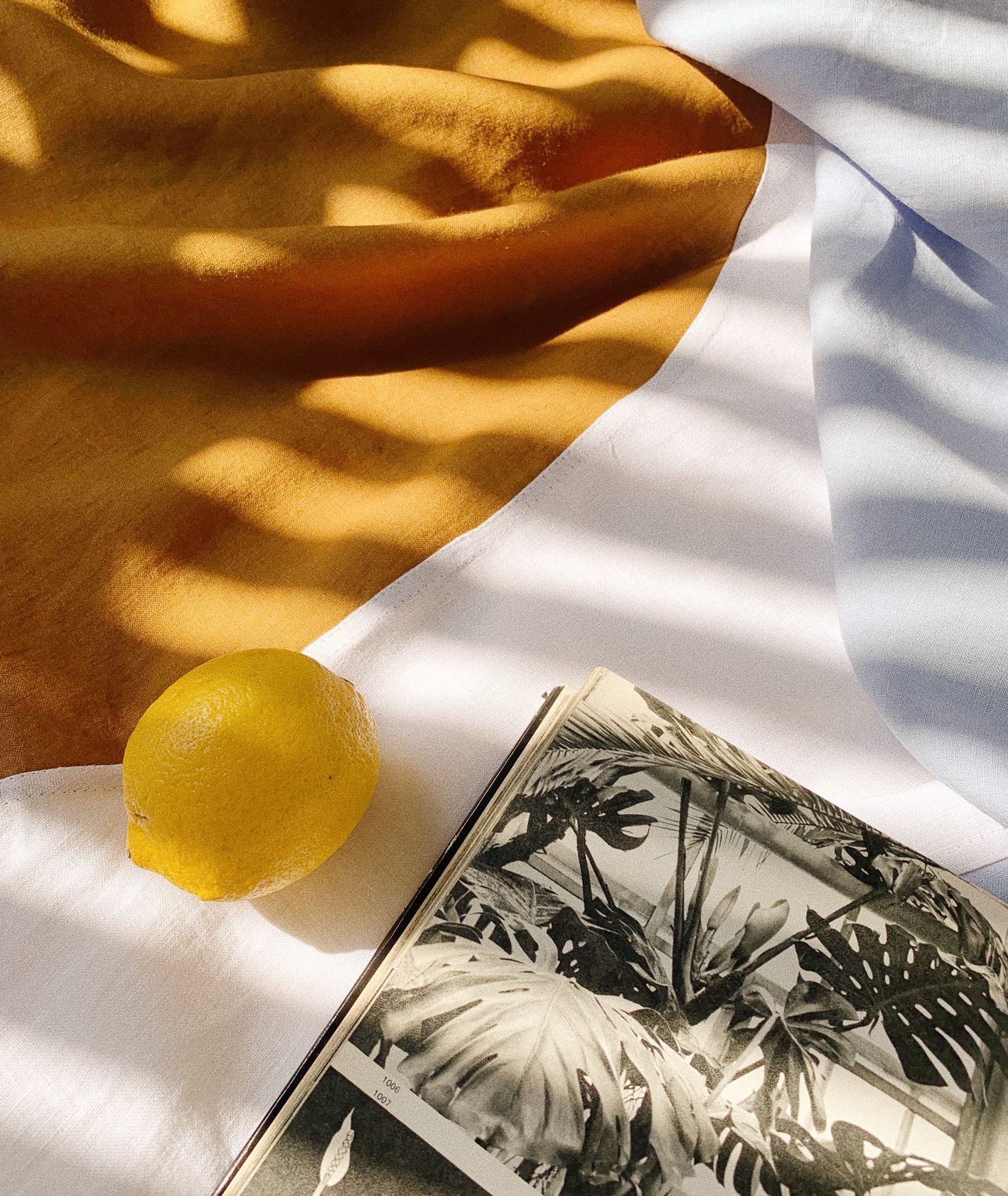 Lniany, kremowo pomarańczowy, plażowy ręcznik marki Lazy Beaches, leżący na nim album z czarno białymi zdjęciami roślin, cytryna (fot. Eliza Dunajska/Lazy Beaches)