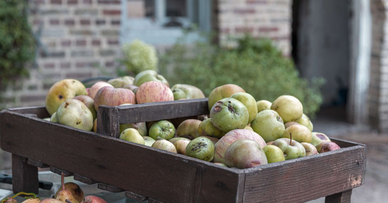 Drewniana skrzynka z zielonymi jabłkami (fot. Bernard Buyse / unsplash.com)