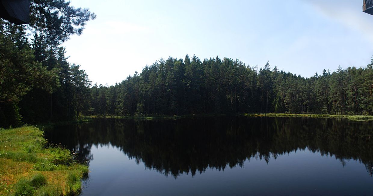 Polimerek w Wigierskim Parku Narodowym