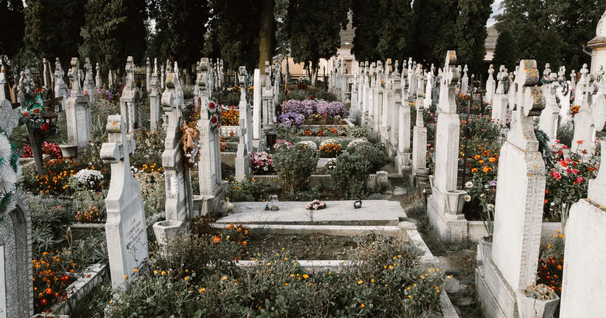 Kwiaty na grobach – Święto Zmarłych na świecie (fot. Anton Darius Thesollers / unsplash.com)