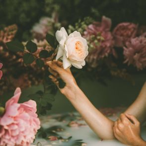 Kobieca ręka trzyma różę (fot. Anita Austvika/unsplash)