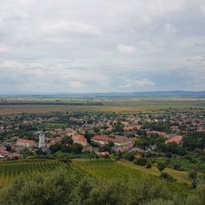 Panorama winnic w Tokaju i Tarcalu (fot. Aleksander Szojer)