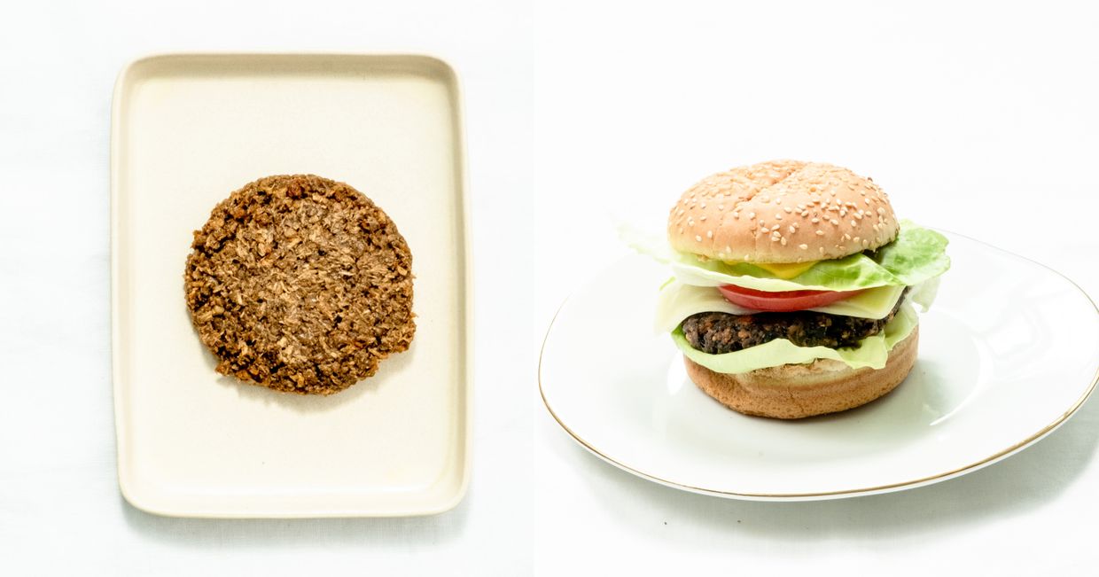 Najlepsze wegeburgery – roślinny burger z bezmięsnym kotletem marki Dobra Kaloria (fot. Marcin Lewandowski)