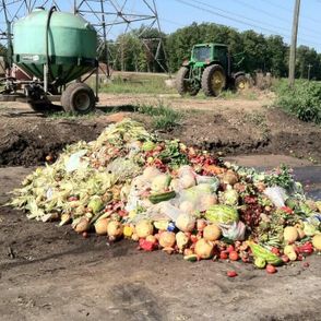 dlaczego Polacy marnują tak dużo jedzenia?