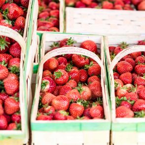 Zdjęcie truskawek kaszubskich w kobiałkach