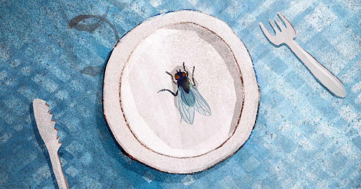 Ilustracja przedstawiająca muchę na talerzu, obrus i sztućce (ilustracja: Urszula Mierzwa)