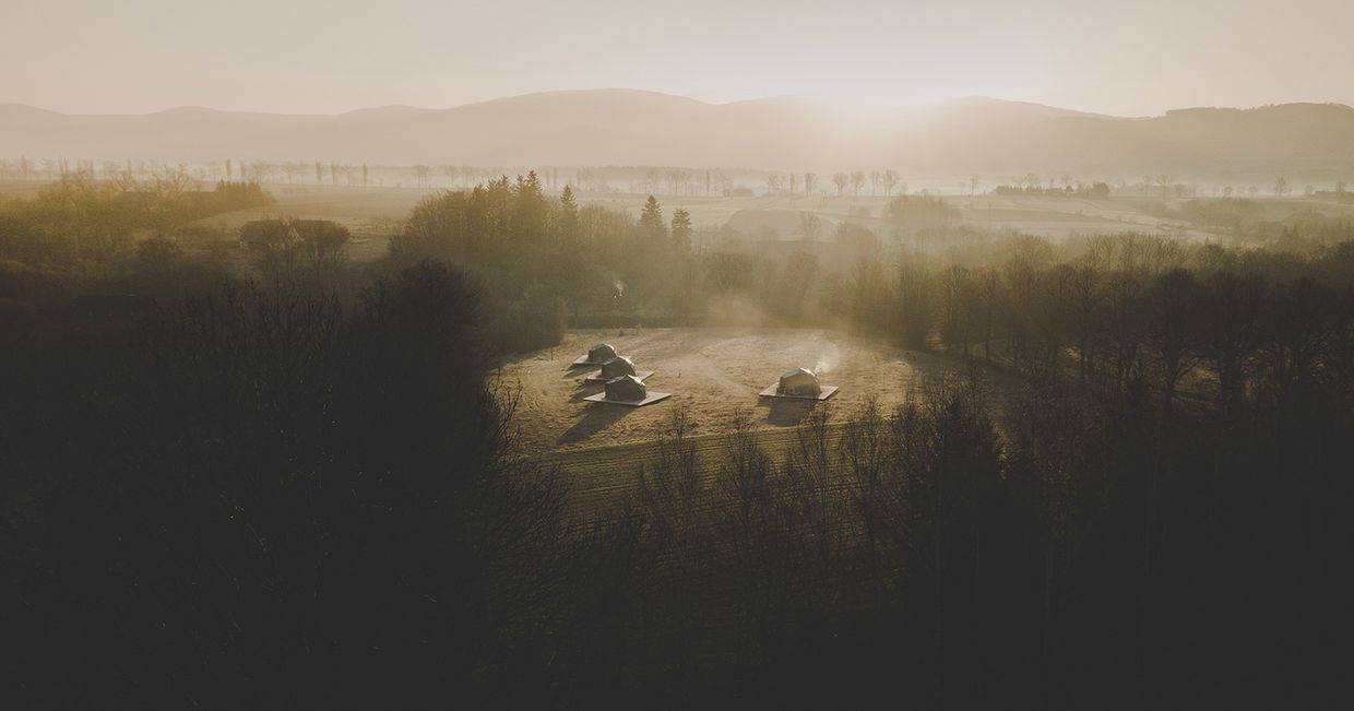 Vegan House (fot. materiały promocyjne / Vegan House)