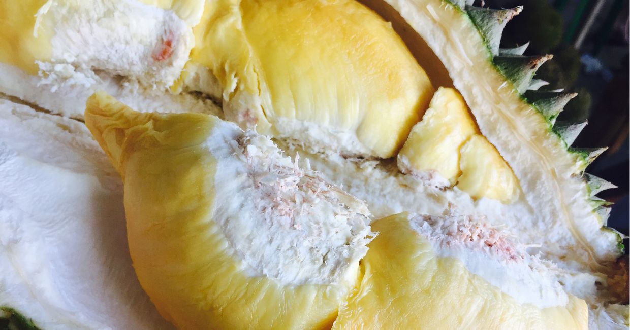 Zdjęcie środka owocu chlebowca (Gliezl Bancal / unsplash.com)