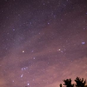 Noc Perseidów – niebo pełne gwiazd, wierzchołki świerków na horyzoncie nieba (fot. Adrian Pelletier / unsplash.com)