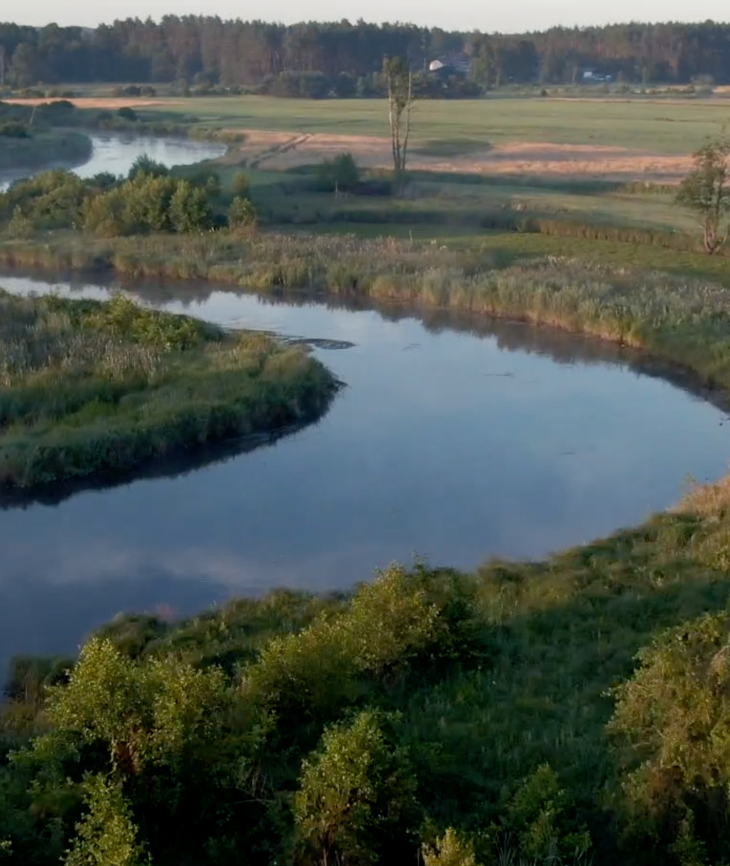 Rzeka Liwiec w okolicach Węgrowa (fot. materiały prasowe)